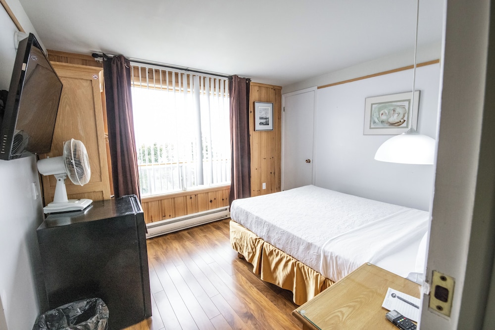 Classic Single Room
