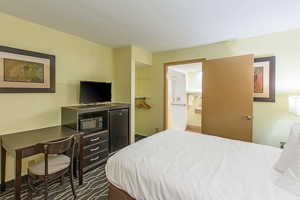 Room, 1 King Bed, Non Smoking (Wet Bar) - Photo 1