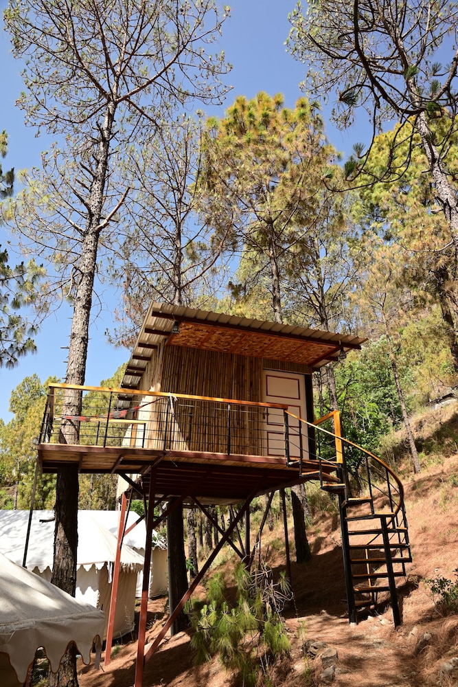 Tree House with Balcony photo 1