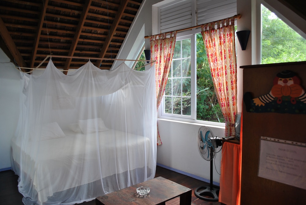 Standard Studio, 1 King Bed, Garden View photo 3