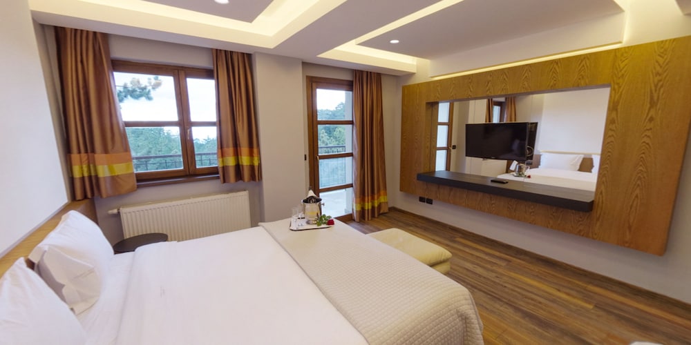 Premium Room photo 3