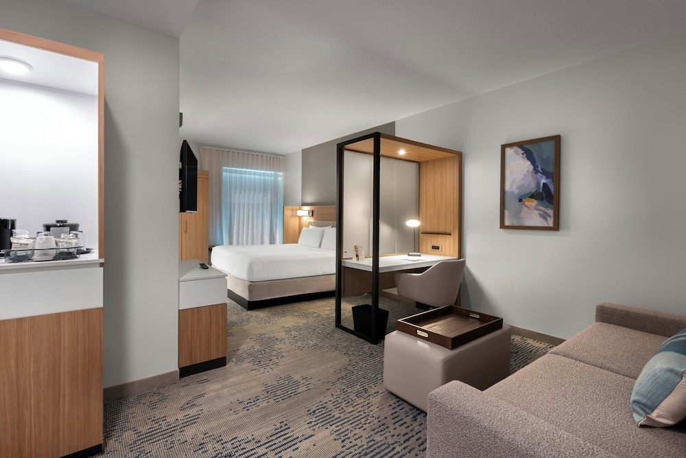 Suite, 1 King Bed with Sofa bed photo 1