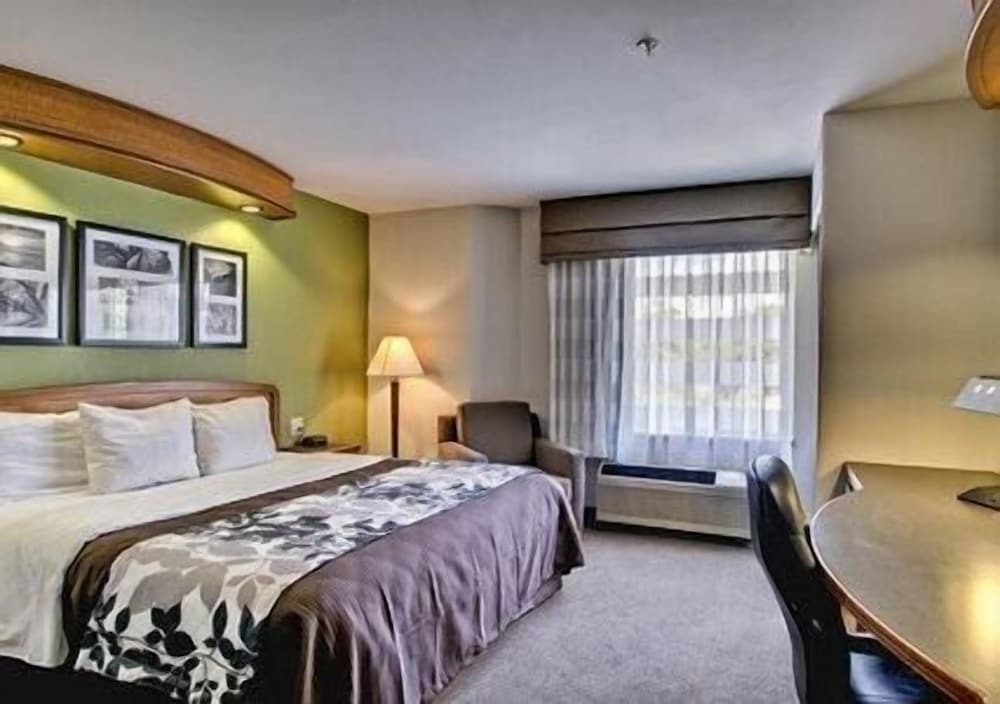 Standard Room, 1 King Bed, Non Smoking photo 1