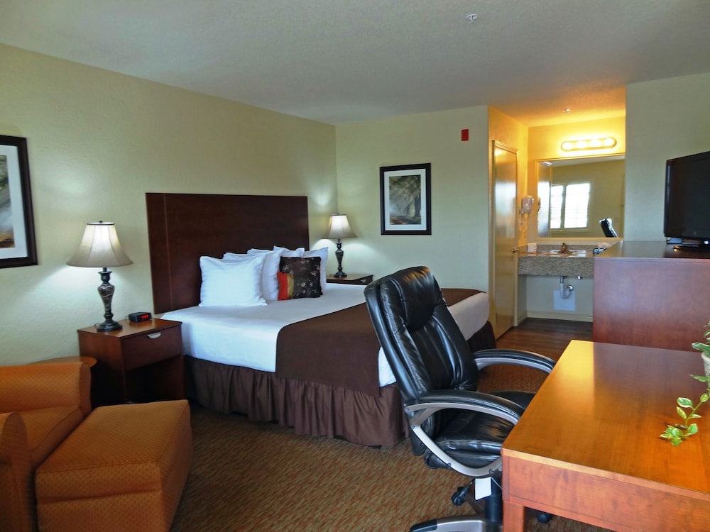 Comfort Single Room