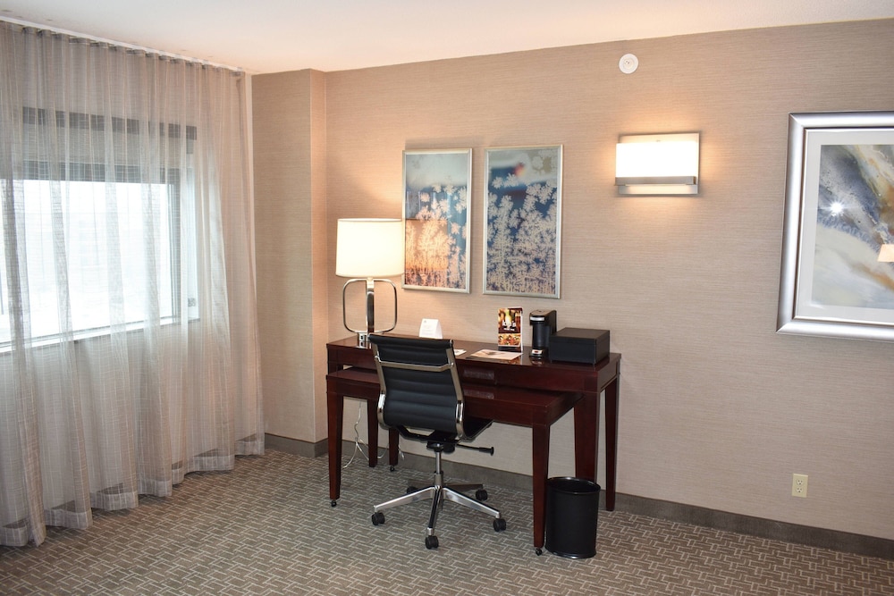 Suite, 1 Bedroom photo 3