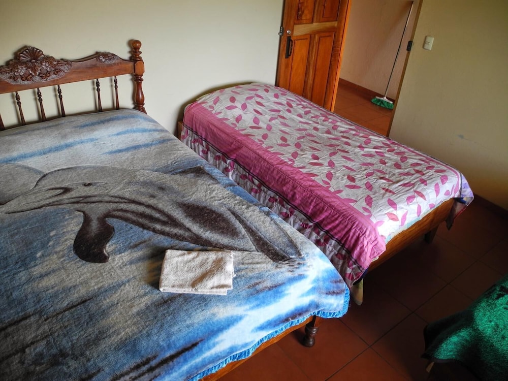 Basic Triple Room, 1 Bedroom, Garden View