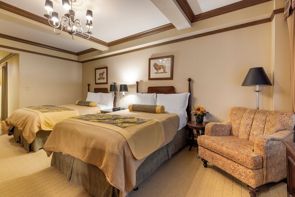 Basic Quadruple Room photo 2