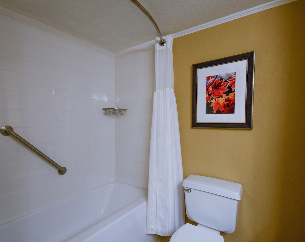 Standard King - Photo 6