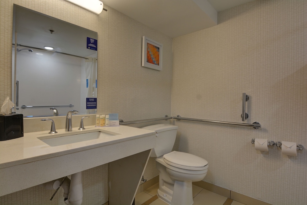 Room, 1 King Bed, Accessible photo 3
