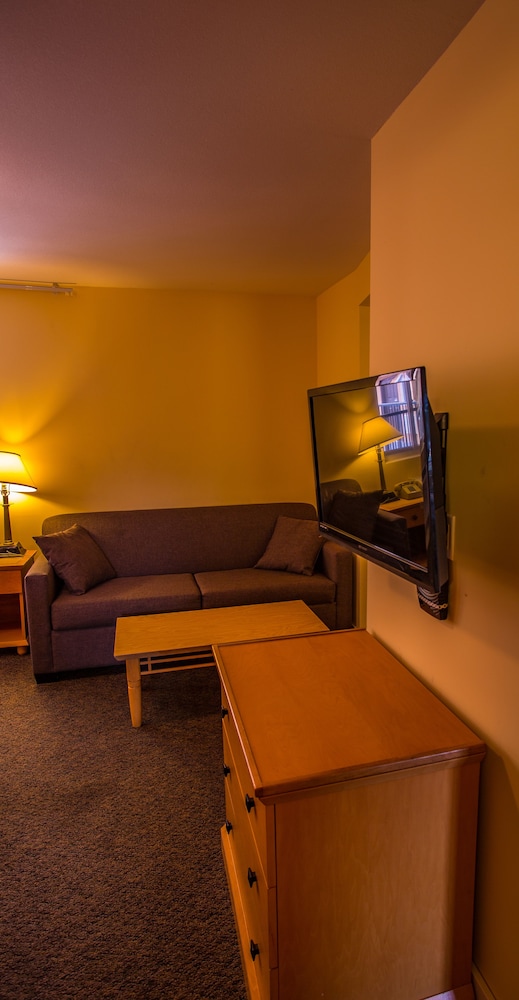 Suite, 1 Bedroom, Kitchen photo 2