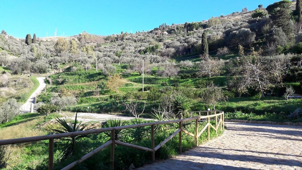 As Duas Carvalhos, Fotografia 8