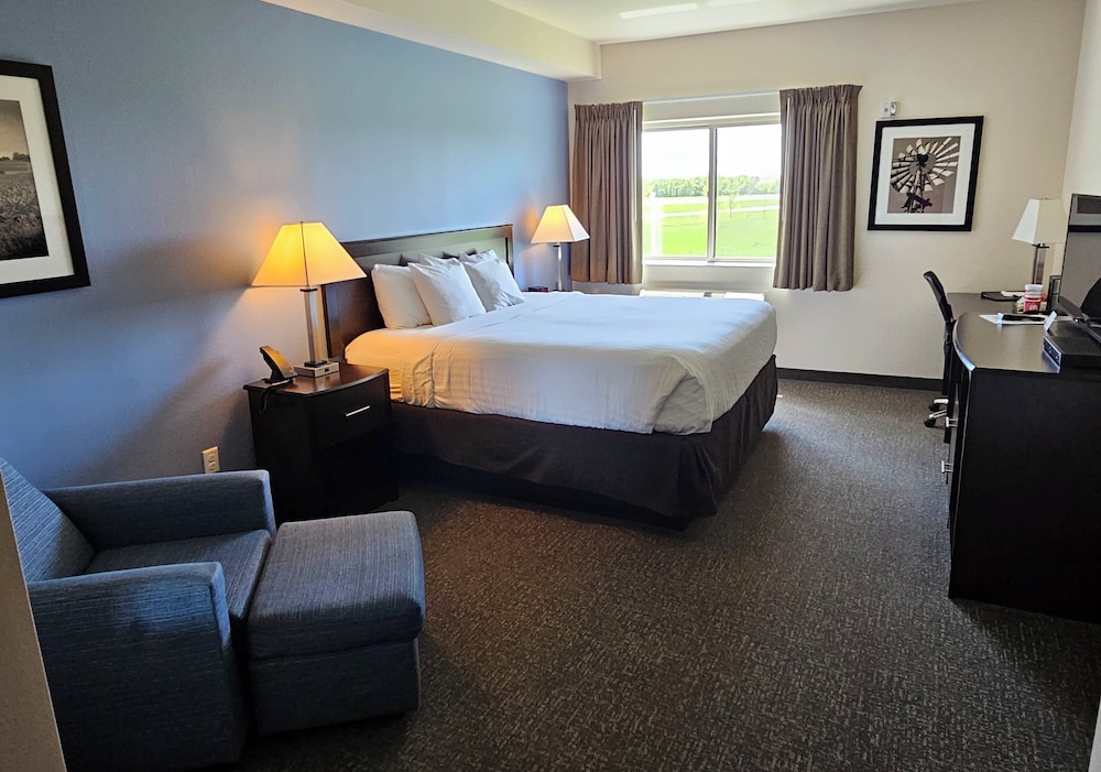 Studio Suite, 1 King Bed with Sofa bed, Non Smoking