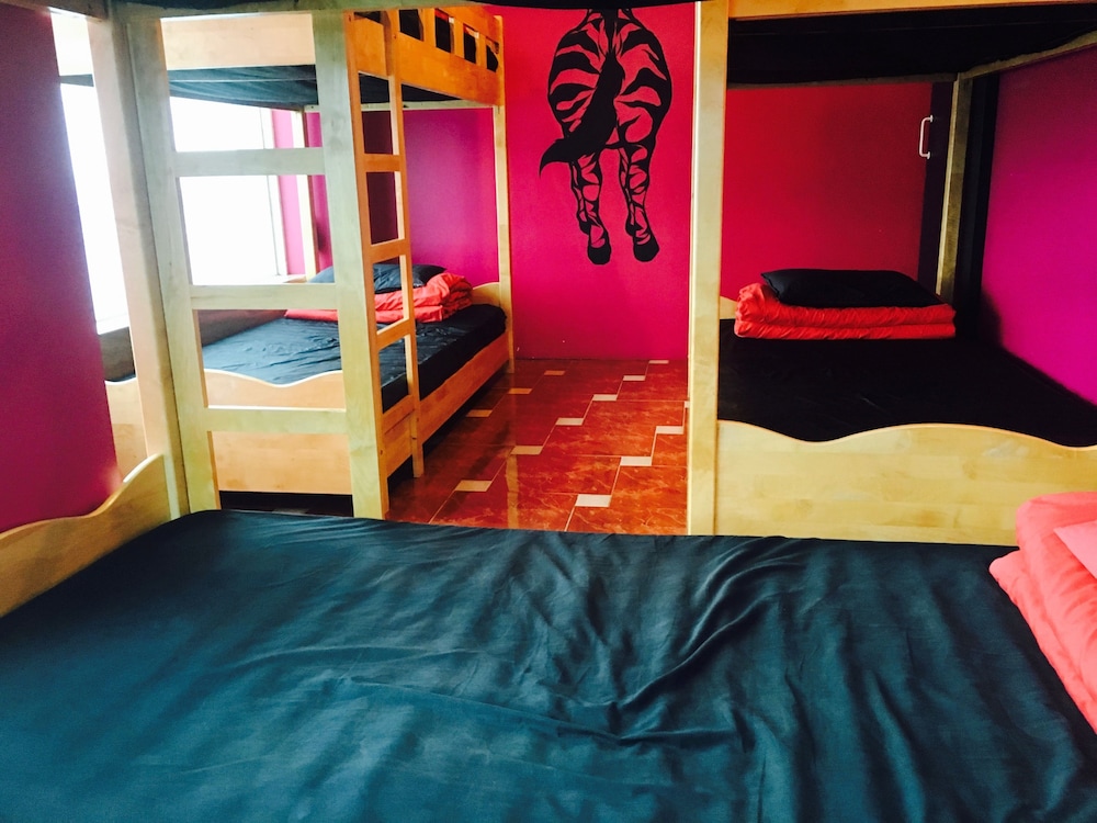 Shared Dormitory, Women only (6 persons) photo 3