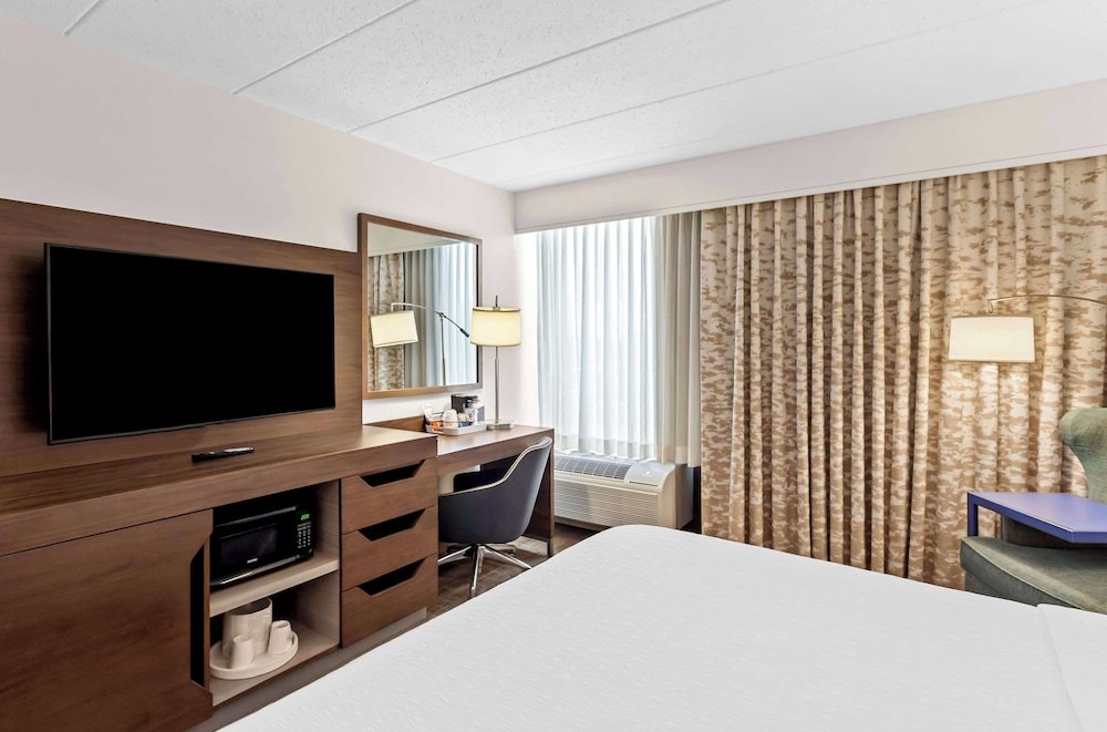 Room, 1 King Bed, Accessible, Non Smoking - Photo 3