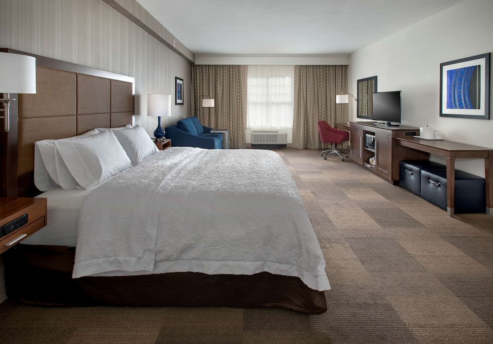 1 King Bed, Accessible (Mobility & Hearing) photo 2