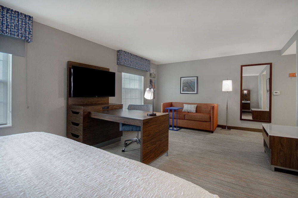 Accessible Studio Suite, 1 King Bed & Sofa Bed, Mobility Tub photo 3