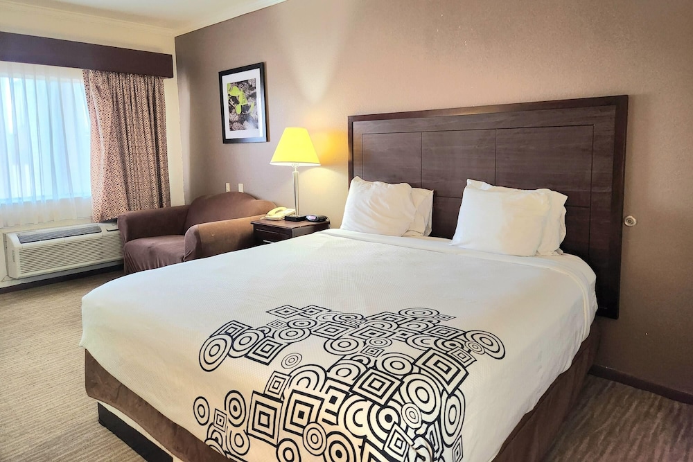 Room, 1 King Bed, Accessible, Non Smoking (Mobility, Bathtub w/grab bars) - Photo 1