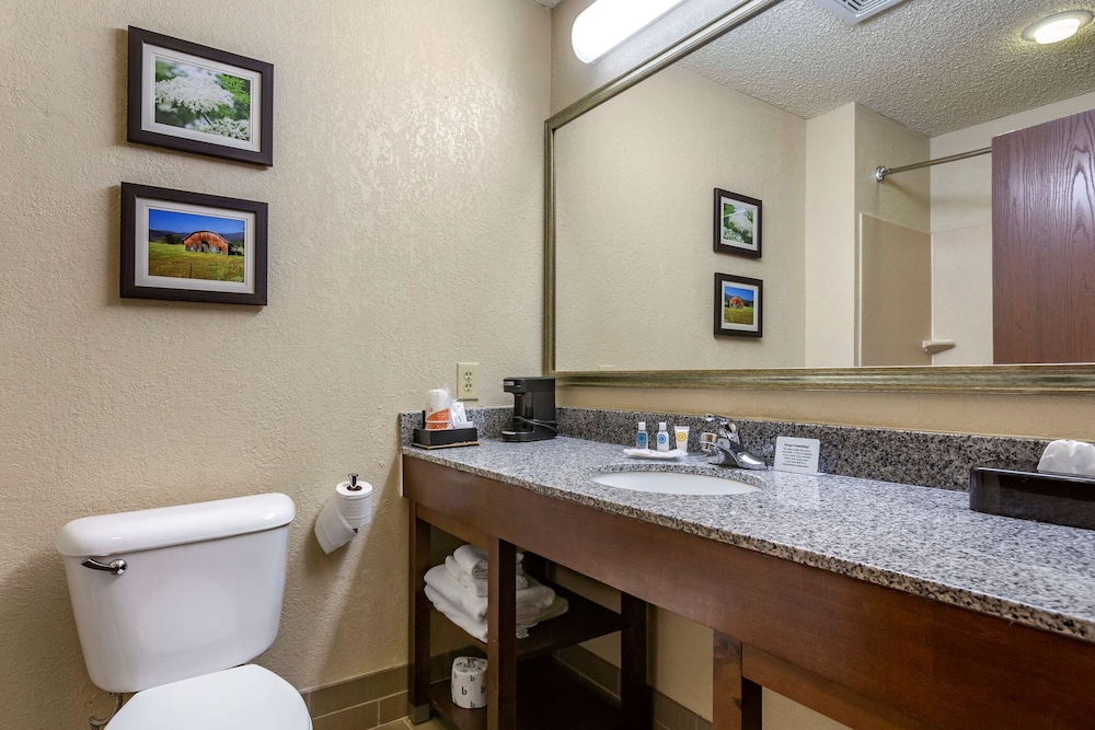 Suite - Photo 5