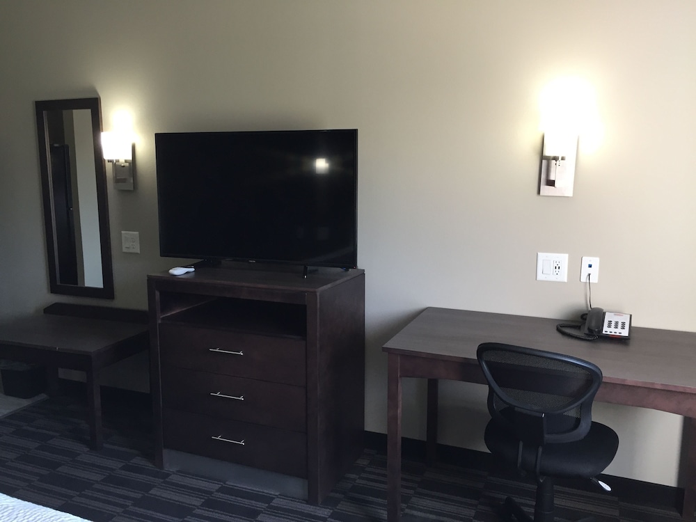Suite, 1 King Bed photo 3