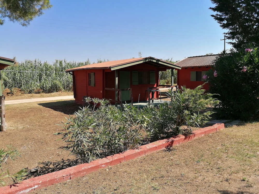 Basic Cabin