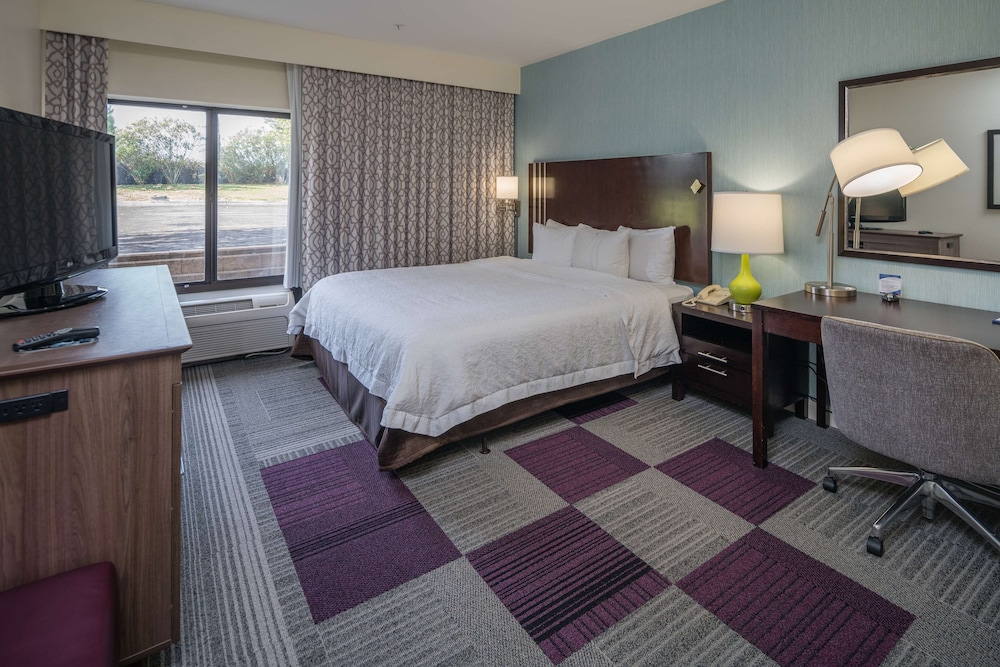 Room, 1 King Bed, Accessible, Bathtub - Photo 5