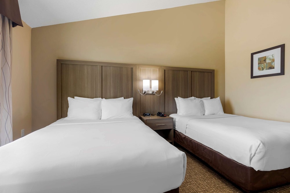 Comfort Suites DFW Airport, Billede 3
