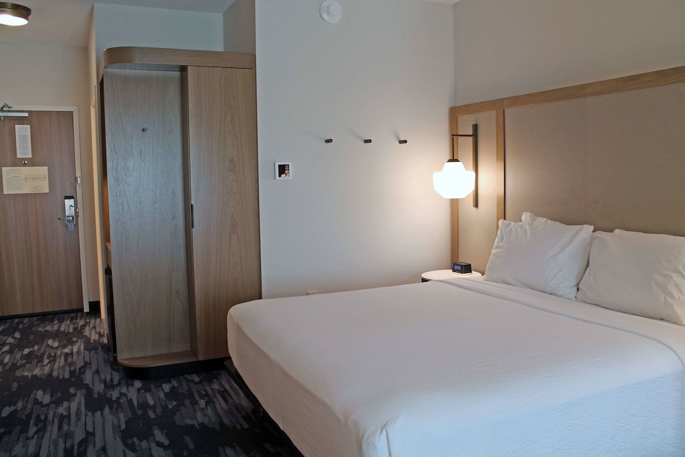 Suite, 1 King Bed with Sofa bed (Hearing Accessible) - Photo 4