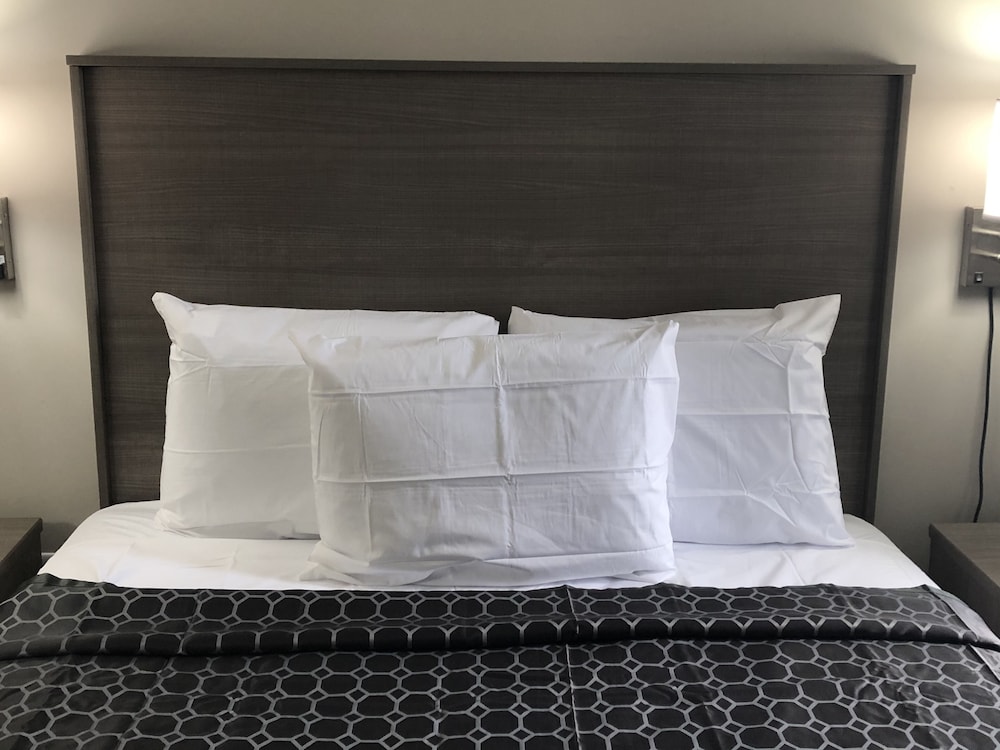 Standard Single Room, 1 Queen Bed, Smoking - Photo 2