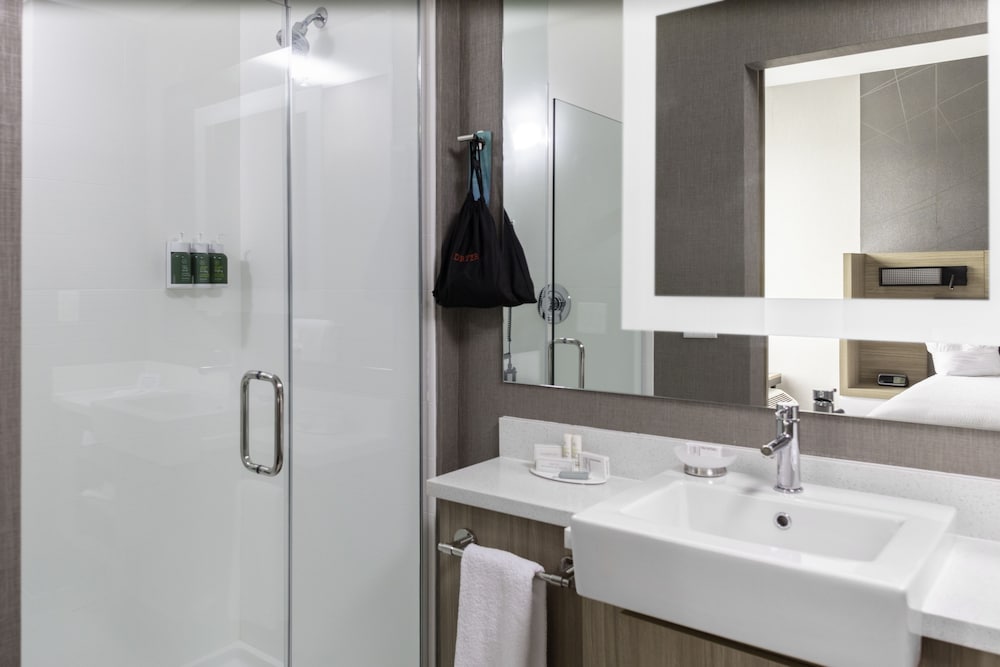 Suite, 1 King Bed (Mobility Accessible, Tub) photo 3