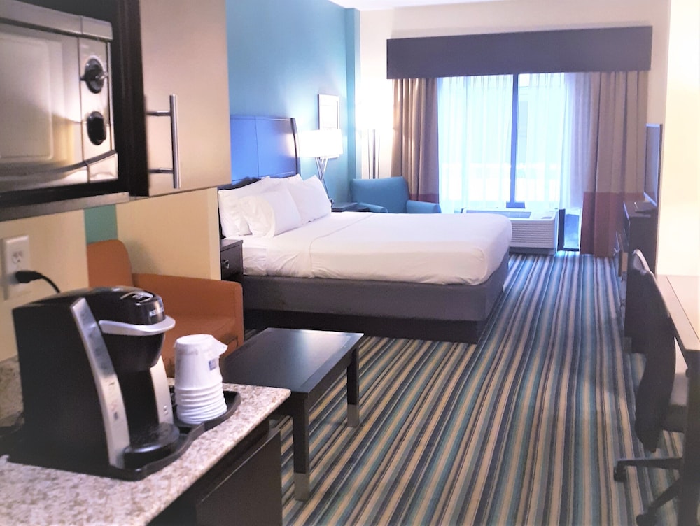 Suite, 1 King Bed with Sofa bed