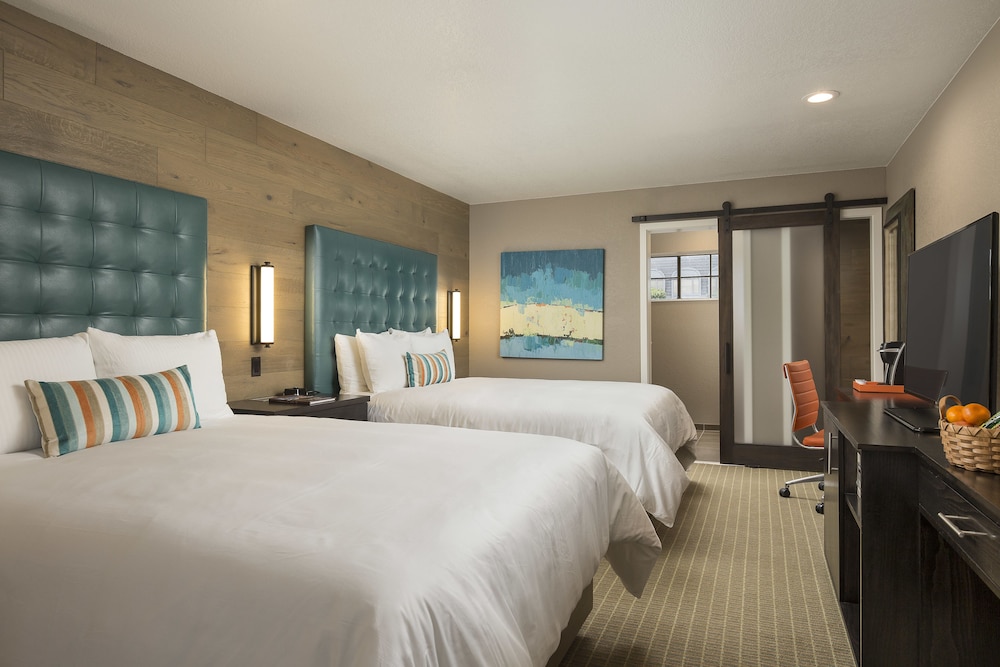 Suite (The Wave Suite)