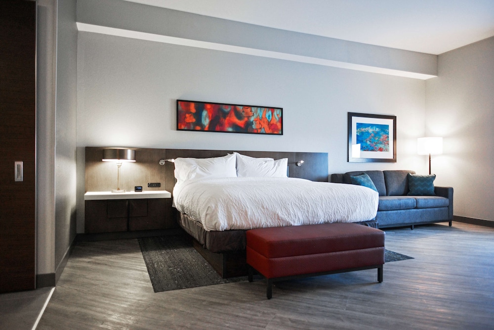 Deluxe Room, 1 King Bed, Accessible (Roll-in Shower) photo 3