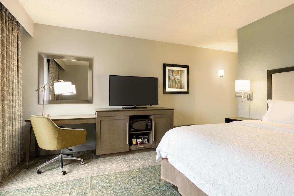 Family Room, 1 King Bed - Photo 1