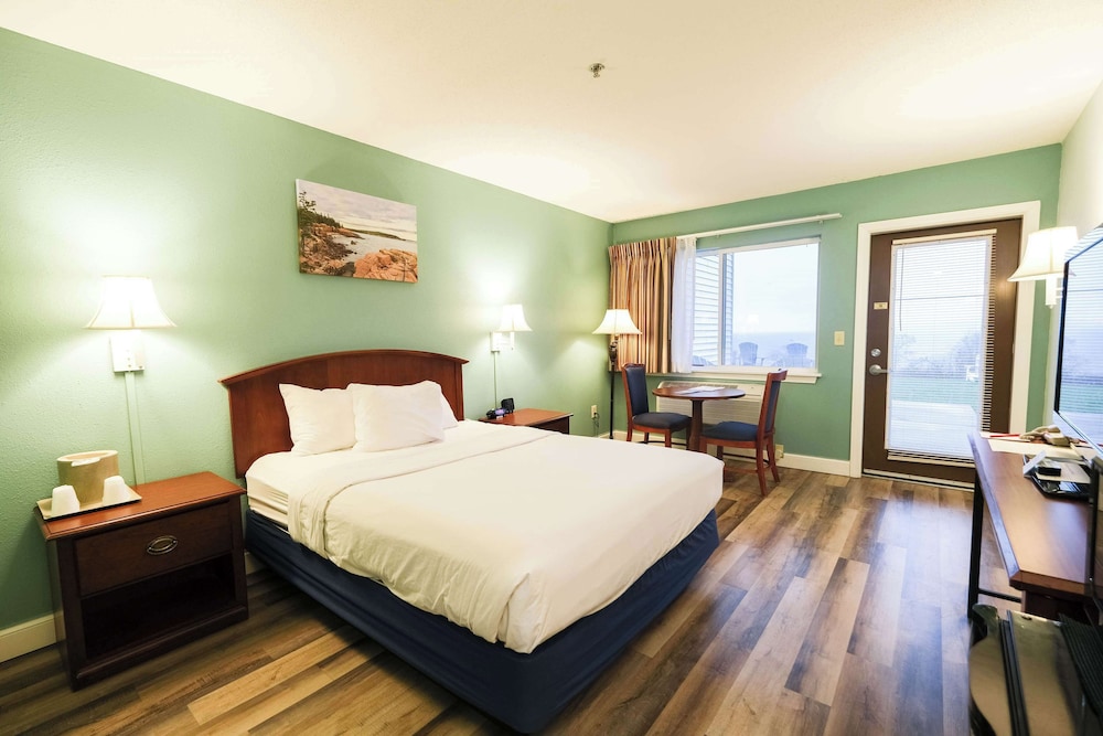 Standard Room, 1 Queen Bed, Accessible, Bay View - Photo 1