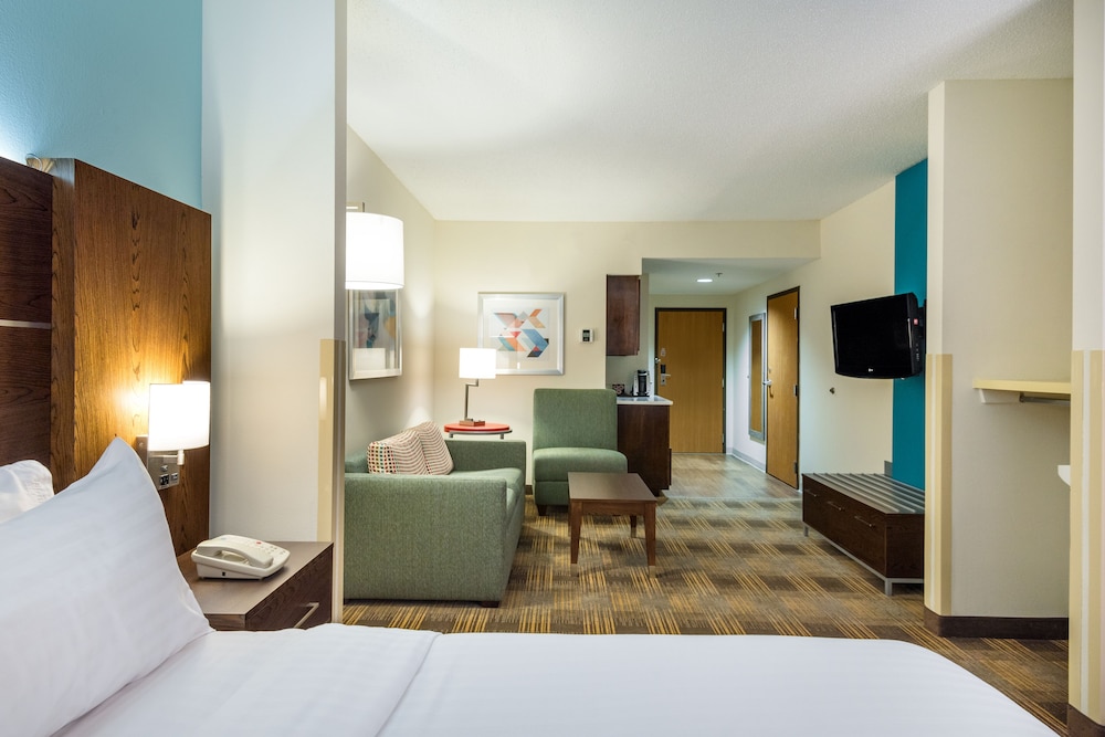 Suite, 1 King Bed - Photo 4