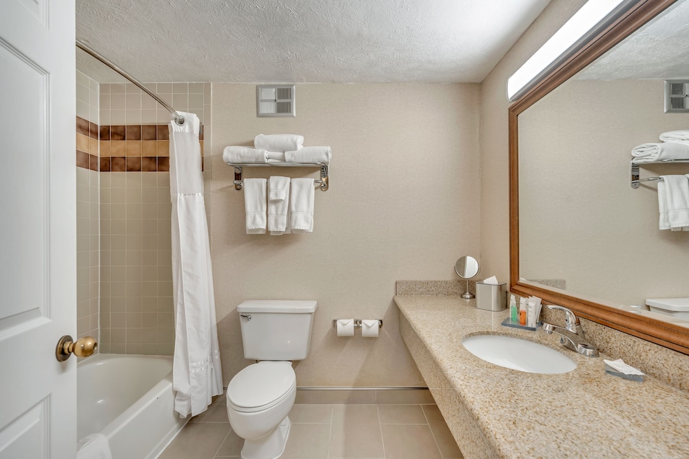 Suite, 1 Bedroom, Non Smoking - Photo 19