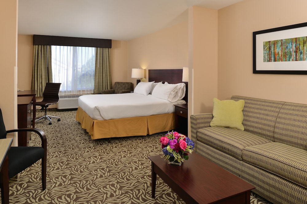 Suite, 1 King Bed (Extra Floor Space) - Photo 7