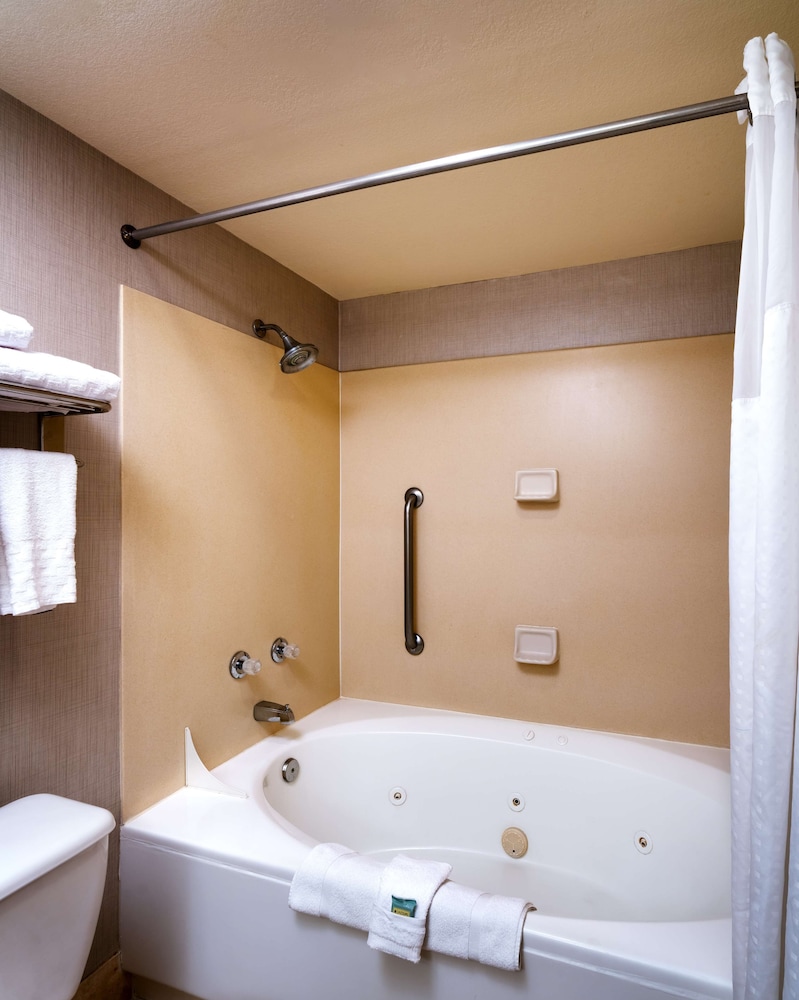 Suite, 1 King Bed, Non Smoking, Jetted Tub (with Sofabed) - Photo 5