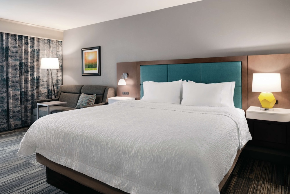 Room, 1 King Bed with Sofa bed, Accessible, Refrigerator & Microwave (Hearing) photo 3