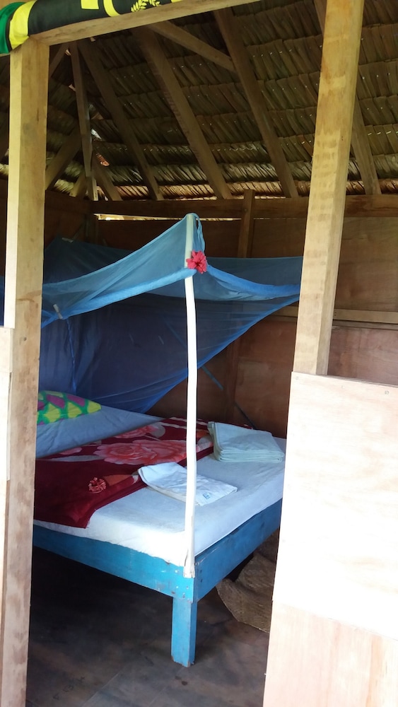 Premium Tree House photo 3