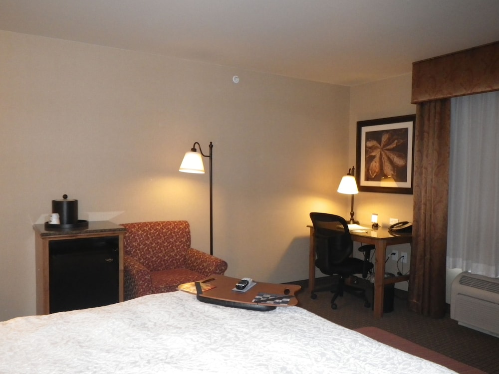 Room, 1 King Bed, Accessible, Non Smoking