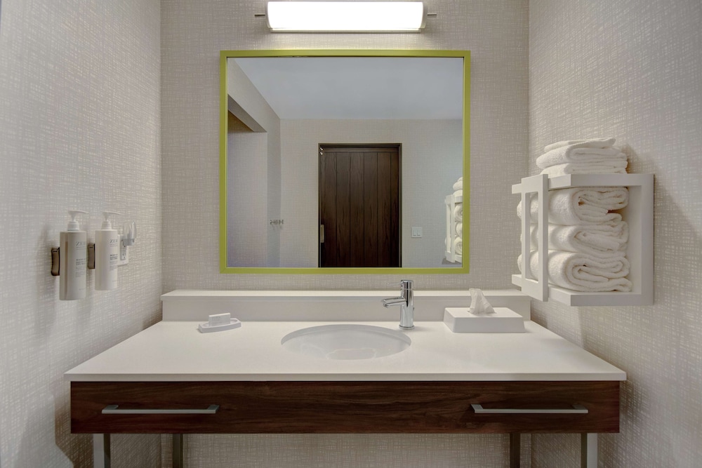 Studio, 1 King Bed (Mobility & Hearing, Roll-in Shower) - Photo 4