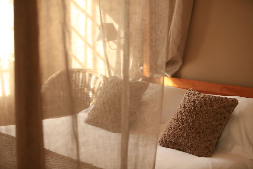 Suite - Photo 2