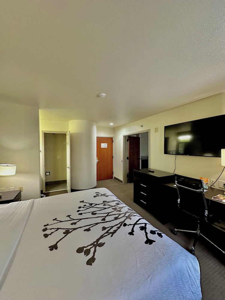 Suite, 2 Bedrooms (1 King Bed and 1 Sofa Bed) photo 2