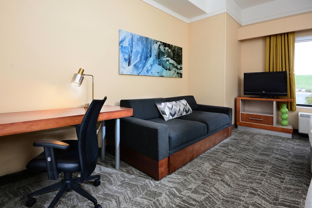 Studio, Multiple Beds (Mobility/Hearing Access, Roll-In Shwr) photo 2