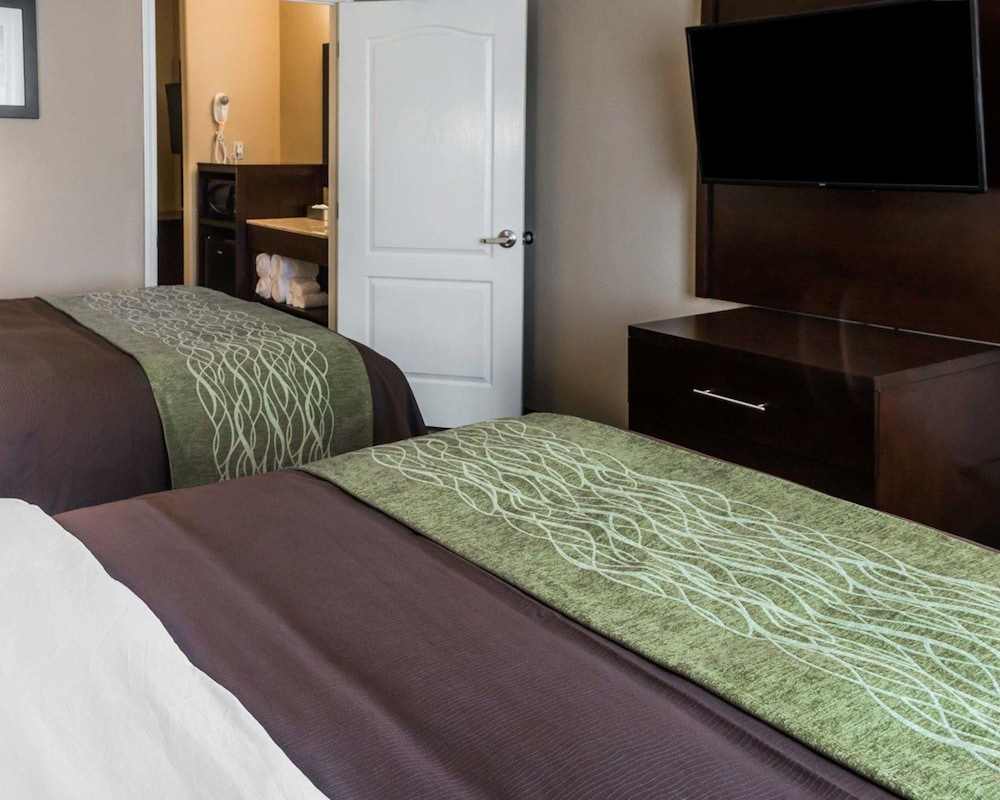 Family Suite, Multiple Beds (Sofabed) photo 2