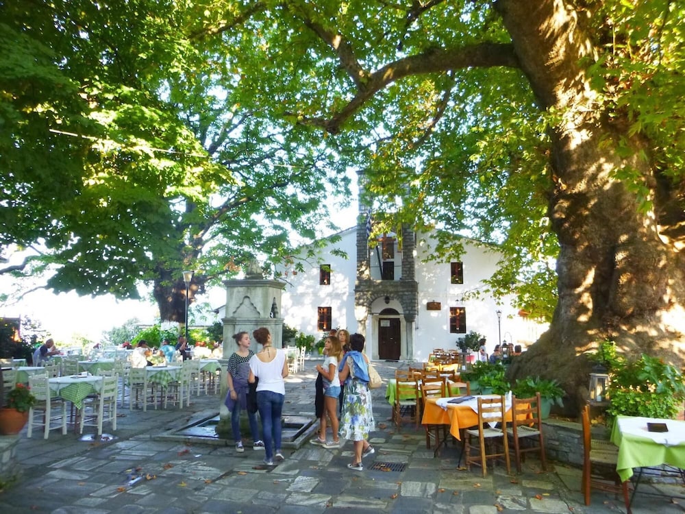 Archontiko Michael Pelion, Foto 11