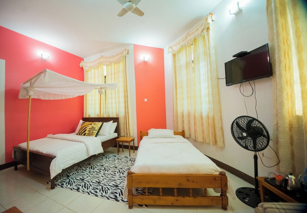 Twin Room photo 2