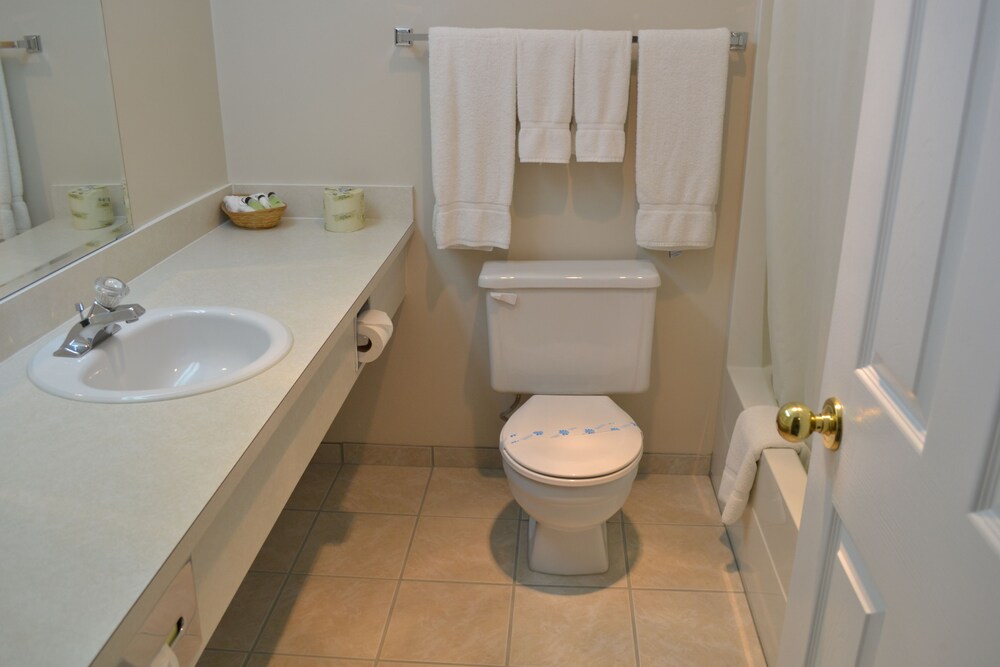 Room, 1 Queen Bed, Kitchenette photo 3