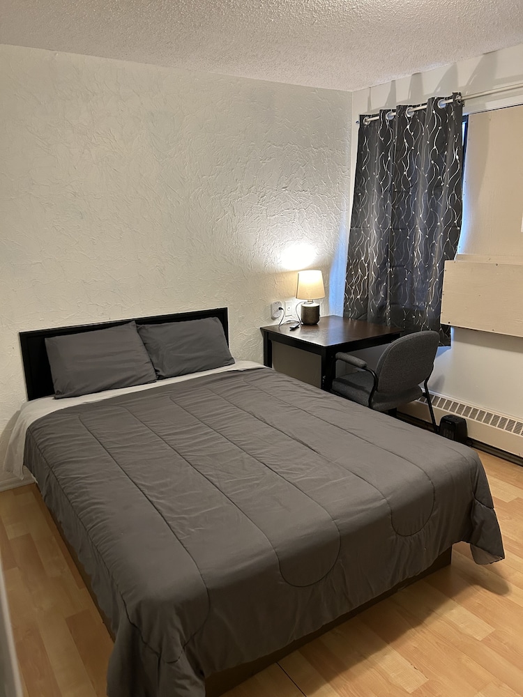Comfort Single Room, 1 Queen Bed photo 1